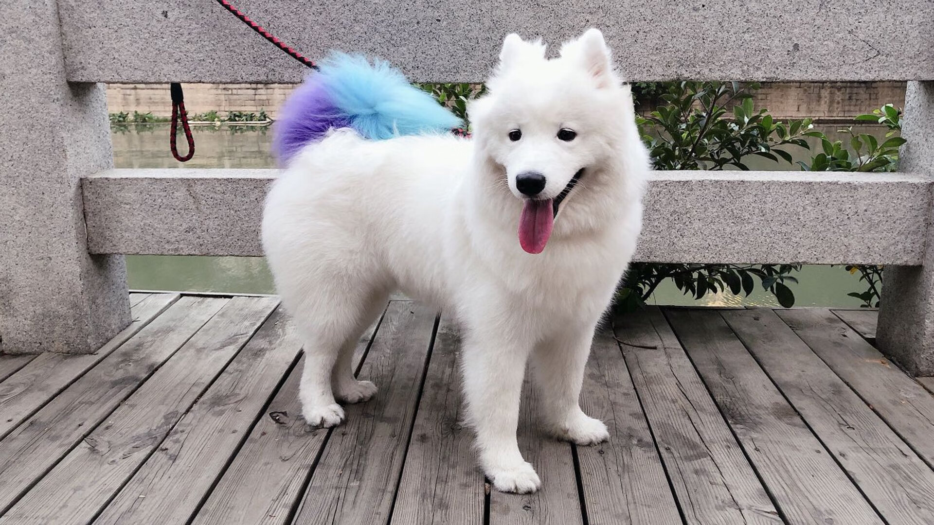 福克斯赛后评分拉满,新疆队险胜76人,一场跨越篮球文化的胜利